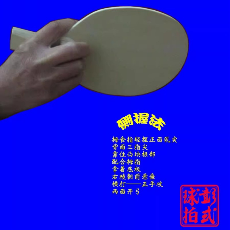 中国/和風卓球ラケットプロレベルの不規則な形状のピンポンパド - Table Tennis In Japanese のレビューと価格
